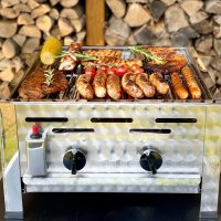 Gasgrill Edelstahl 2 flammig mit Rost, 48 x 53 x 27 Grillrost Edelstahl zerlegbar