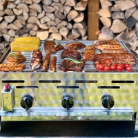 Gasgrill Edelstahl 3 flammig mit Rost, 65 x 53 x 27 cm Grillrost Edelstahl geschweißt