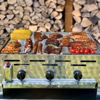 Gasgrill Edelstahl 3 flammig mit Rost, 65 x 53 x 27 cm Grillrost Edelstahl geschweißt